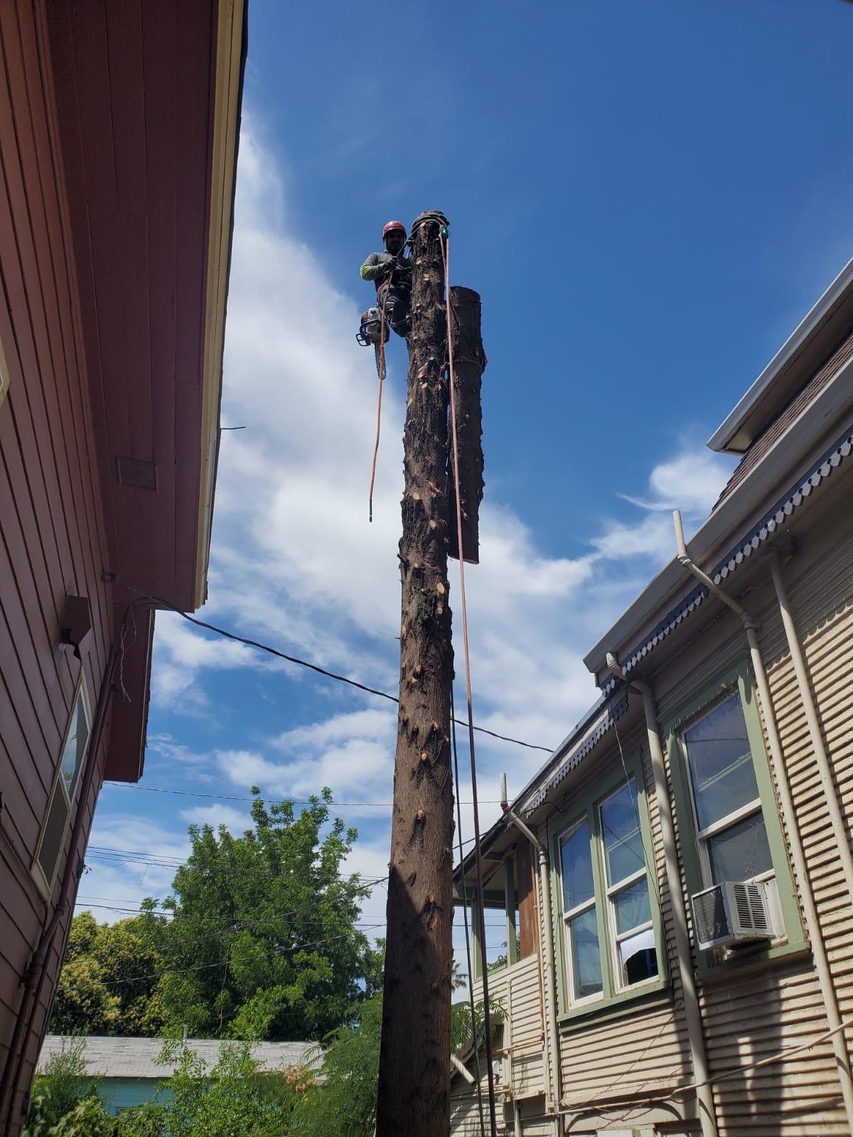 Removing a tall spar in the tight gap between two houses