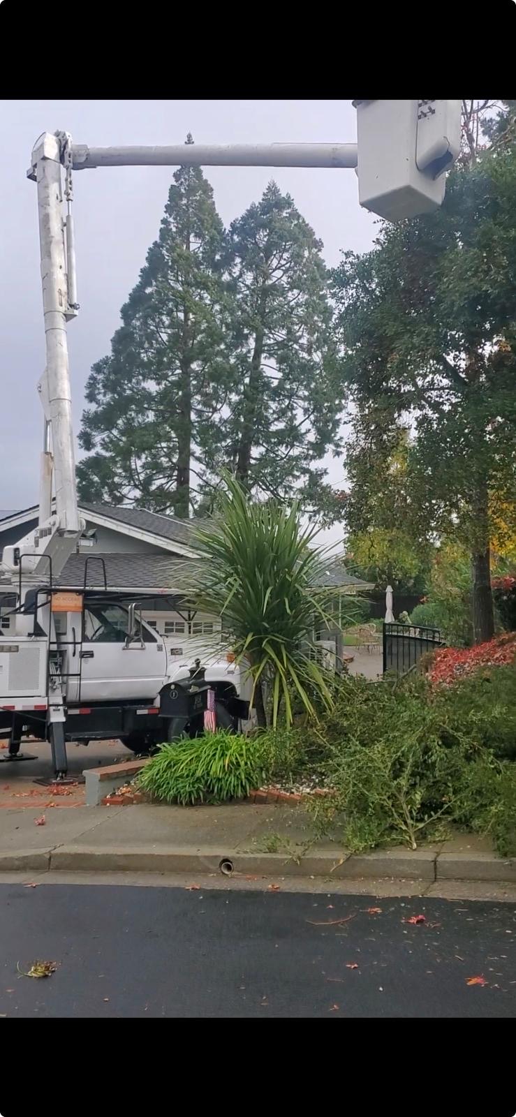 Bucket truck set up at a residential property with brush cleared to the curb